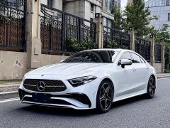 Mercedes-Benz CLS 300 Dynamic - фото 1