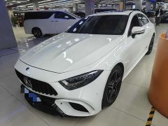 Mercedes-Benz CLS 300 Dynamic - фото 12