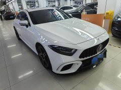 Mercedes-Benz CLS 300 Dynamic - фото 13