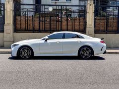 Mercedes-Benz CLS 300 Dynamic - фото 3
