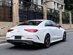 Mercedes-Benz CLS 300 Dynamic - фото 4