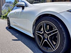 Mercedes-Benz CLS 300 Dynamic - фото 6