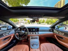 Mercedes-Benz CLS 300 Dynamic - фото 7