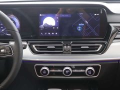 Ora Hongqi HS5 2023 2.0T four-wheel drive Qixiang Pro 500,000 units commemorative edition - фото 11