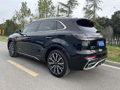 Ora Hongqi HS5 2023 2.0T four-wheel drive Qixiang Pro 500,000 units commemorative edition - фото 13