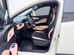 BYD Seagull Free Edition - фото 13