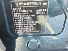 Voyah Lantu Dreamer 2025 PHEV four-wheel drive flagship Kunpeng version - фото 8