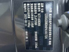 Ford Eado Enjoy Edition PLUS Blue Whale NE 1.4T GDI DCT Premium Edition - фото 17