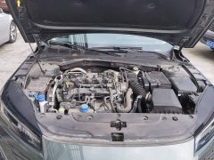 Changan Yida Blue Whale NE 1.5T GDI DCT flagship - фото 10
