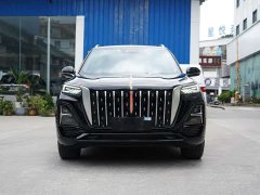Ora Hongqi HS5 2023 2.0T four-wheel drive Qixiang Pro 500,000 units commemorative edition - фото 2