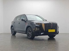 Hongqi HS5 2023 2.0T Qixiang Pro version - фото 2