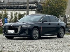 Hongqi H5 2023 1.5T DCT Zhilian Qiyue Edition - фото 17