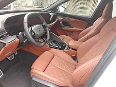 Audi Q5L 2.0T Exclusive Edition for Ten Million Users - фото 7