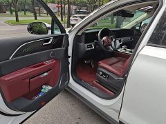 Hongqi E-HS9 460km flagship version six seats - фото 13