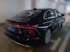 Hongqi H5 2023 2.0T Automatic Zhilianqichang Edition - фото 12