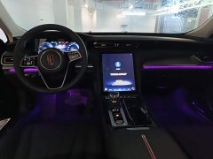 Hongqi H5 2023 2.0T Automatic Zhilianqichang Edition - фото 16