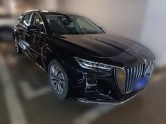 Hongqi H5 2023 2.0T Automatic Zhilianqichang Edition - фото 7