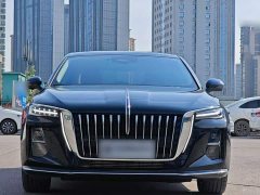 Hongqi H5 2.0T Automatic Zhilianqichang Edition - фото 19