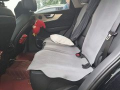 Hongqi HS5 2023 2.0T Qixiang Pro version - фото 15