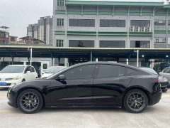 Tesla Model 3 2022 rear-wheel drive version - фото 2
