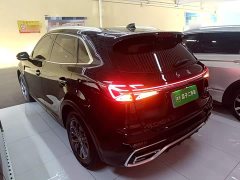 Hongqi HS5 2.0T two-wheel drive Qixiang Pro version - фото 5