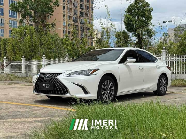 Lexus ES 2022 300h Excellence Edition - автомобиль из Китая