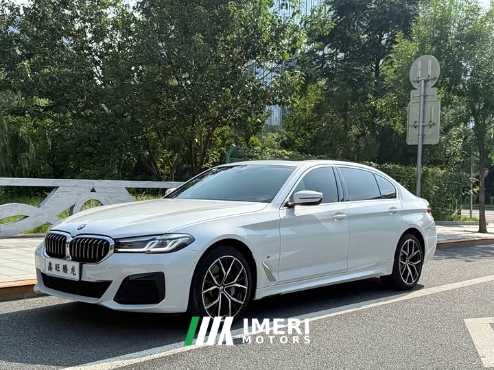BMW 5 Series 530Li Exclusive M Sports Package - автомобиль из Китая