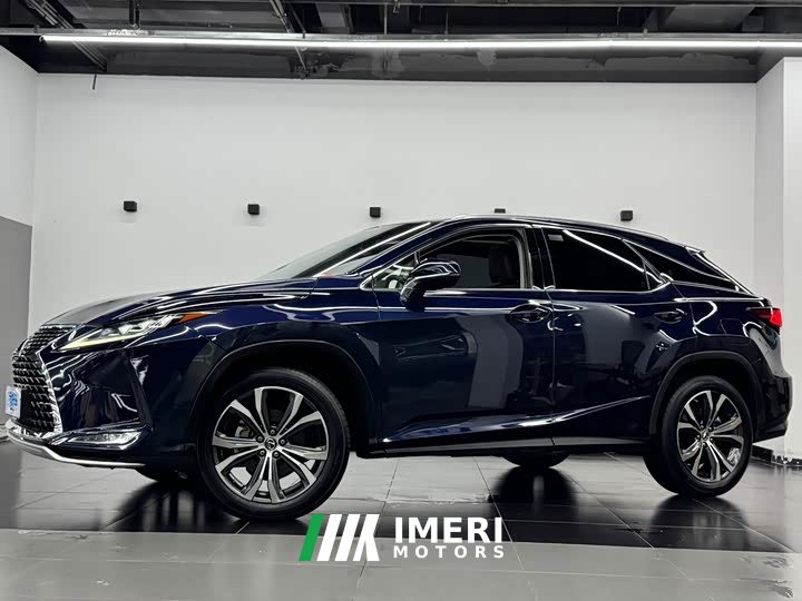 Lexus RX 2020 300 four-wheel drive elegant version National VI