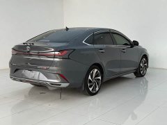 Ruicheng PLUS 1.5T DCT flagship - фото 11