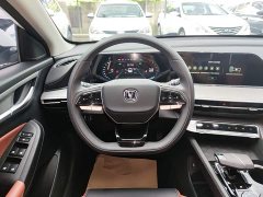 Ford EADO PLUS Blue Whale NE 1.4T GDI DCT Premium Edition - фото 11