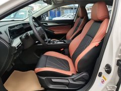 Ford EADO PLUS Blue Whale NE 1.4T GDI DCT Premium Edition - фото 15