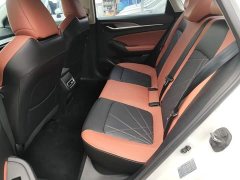Ford EADO PLUS Blue Whale NE 1.4T GDI DCT Premium Edition - фото 17