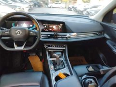 Changan CS55PLUS Blue Whale Edition 1.5T DCT Premium Type - фото 13