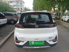 Changan New Energy E-Pro 2020 Zongqing Edition - фото 6