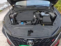 Ford Eado PLUS 1.4T dual-clutch high-energy version - фото 20
