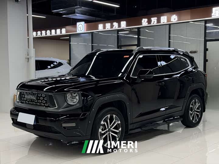 Haval Big Dog PLUS 2023 1.5T two-wheel drive trendy version Plus - автомобиль из Китая