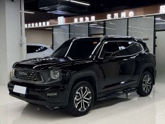 Haval Big Dog PLUS 2023 1.5T two-wheel drive trendy version Plus - фото 1
