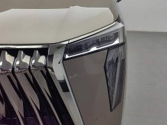 Trumpchi M8 Grandmaster Series Dual Engine Flagship Edition - фото 7