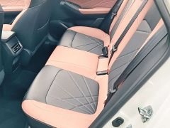 Ford EADO PLUS Blue Whale NE 1.4T GDI DCT Ultimate Edition - фото 11