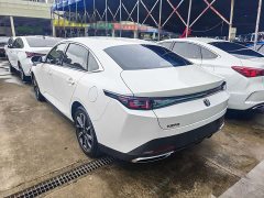 Ford Eado Blue Whale 1.5T 500Bar Premium Type - фото 12