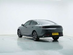 Ford Eado Blue Whale 1.5T 500Bar Premium Type - фото 6