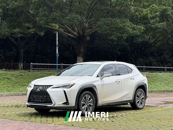 Lexus UX New Energy 2020 300e Pure Edition - автомобиль из Китая