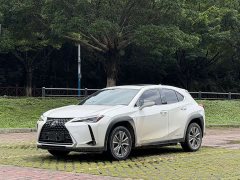 Lexus UX New Energy 2020 300e Pure Edition - фото 1