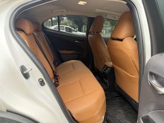 Lexus UX New Energy 2020 300e Pure Edition - фото 15