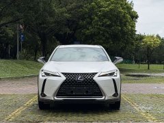Lexus UX New Energy 2020 300e Pure Edition - фото 2