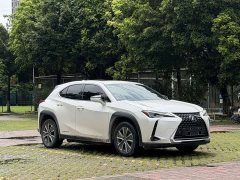 Lexus UX New Energy 2020 300e Pure Edition - фото 3