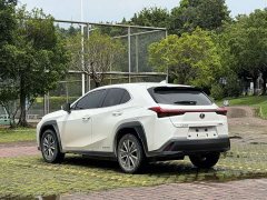 Lexus UX New Energy 2020 300e Pure Edition - фото 4