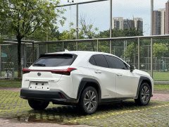 Lexus UX New Energy 2020 300e Pure Edition - фото 5