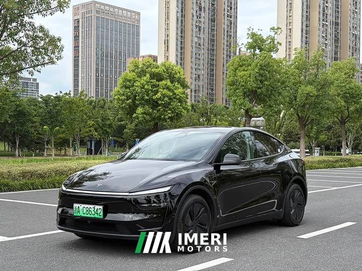 Tesla Model Y long-range rear-wheel drive version - автомобиль из Китая