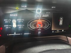 Tank 300 Off-Road Version 2.0T Challenger - фото 6
